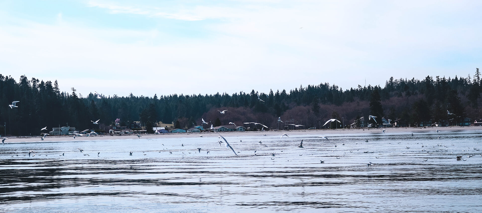 Privacy & Terms of Use