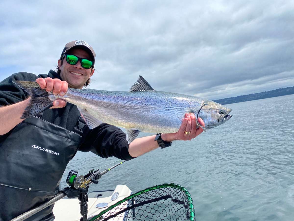 Spring Chinook Salmon caught with Cut Plug Charters