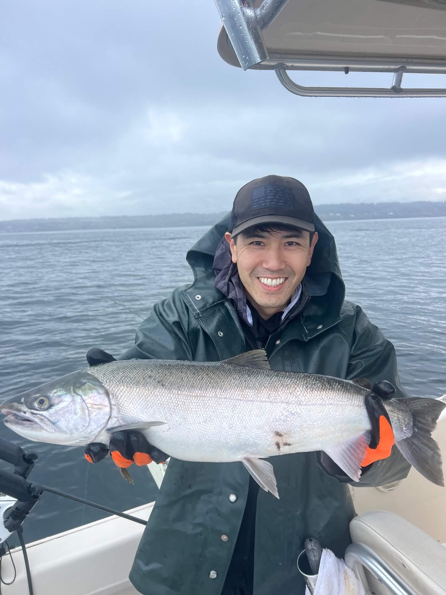 Fall chum salmon in Seattle